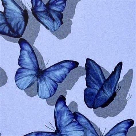 Butterfly Aesthetic Wallpapers App On Amazon Appstore