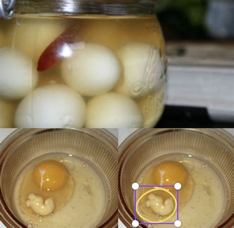 Unlocking Nutrition: The Surprising Amount of Protein in One Egg White ...