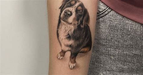 Bernese Mountain Dog Tattoos Tattoofilter