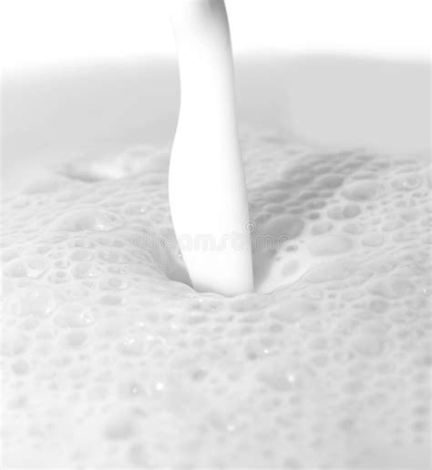 white milk stock photo image  drink liquid closeup