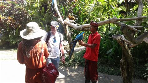 En Antonio Blanco Museum Campuan In West Of Ubud Gianyar Bali Id