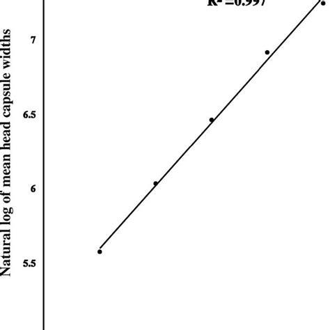 Linear Regression Of The Natural Logarithm Of The Mean Larval Head