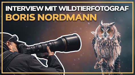 Interview mit Wildtierfotograf Boris Nordmann - YouTube