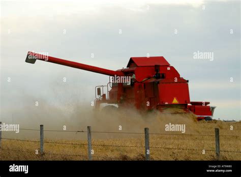 Agriculture Wheat Field Harvesting In The Canadian Prairies Alberta