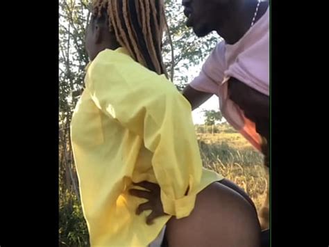 Compilation De Levrettes XVIDEOS