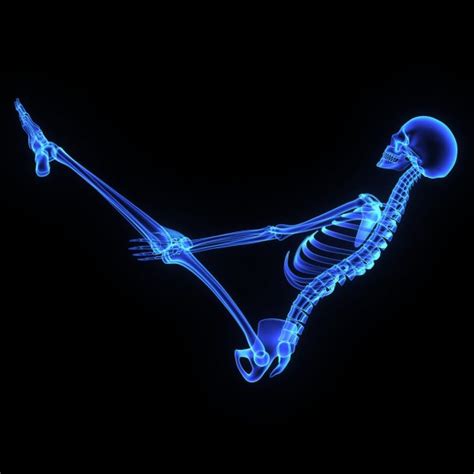 Hip Joint — Stock Photo © Sciencepics 67958027