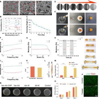 Dynamic Biocompatible And Bactericidal Properties Of The Van AA OGP