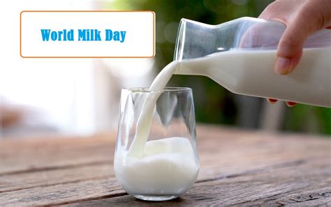 World Milk Day 2024 Theme History Significance Facts Edudwar