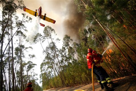 Portugal E França Combatem Incêndios Florestais Veja