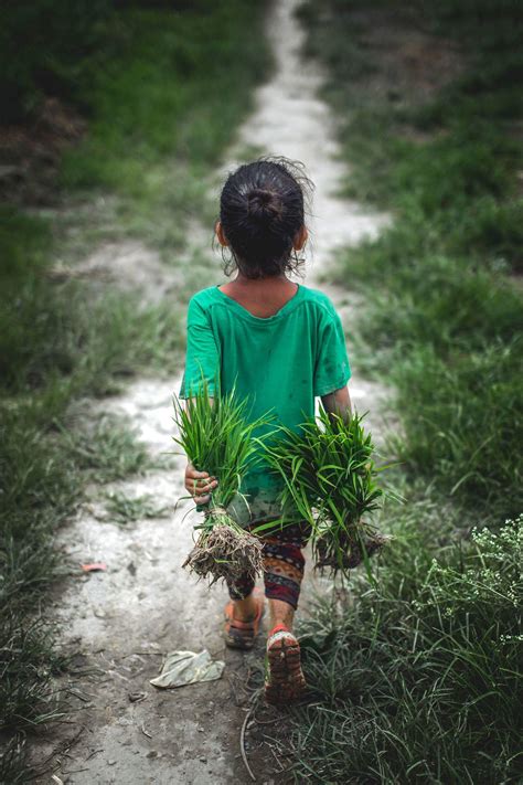 Best Photos Of Rice Planting Festival In Nepal Nepal 8th Wonder
