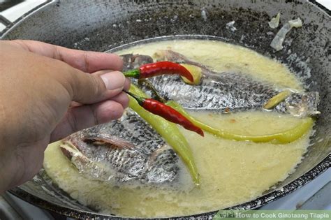 How To Cook Ginataang Tilapia Steps With Pictures Wikihow Life