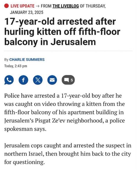 Year Old Israeli Arrested For Throwing Cat Off Roof And Pouring Boiling Hot Water Amid