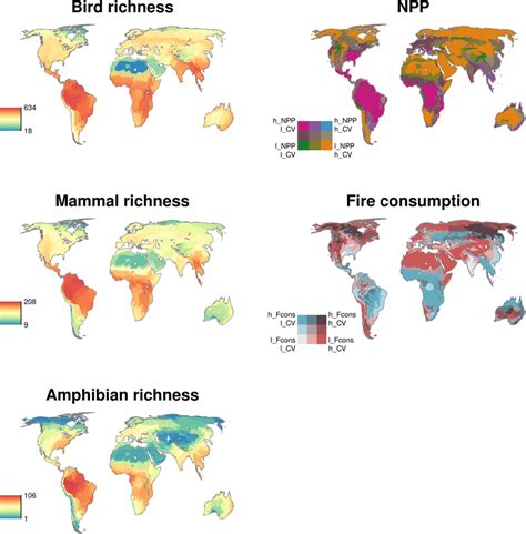 Spatial Variation In Terrestrial Vertebrate Richness Patterns