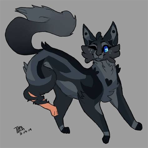 Warrior Cats Art Captivating Drawings Of Fierce Feline Characters