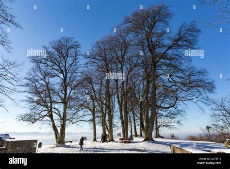 Baum Menschen Hi Res Stock Photography And Images Alamy