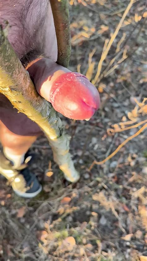 Firing Gay Amateur Amateur Porn Feat Tomku XHamster