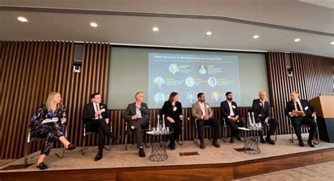 katarina stasova  linkedin cross border payments  instant