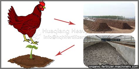 What Are The Effects Of Chicken Manure Processed By Equipment On Soil