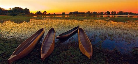 Highlights of Botswana | Holidays 2023/2024 | The Luxury Holiday Company