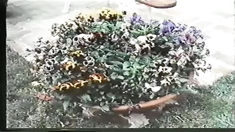 Moglie Molto Infedele Retro European Porn Xhamster