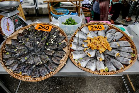 FoodFest1 - Benewsonline.com
