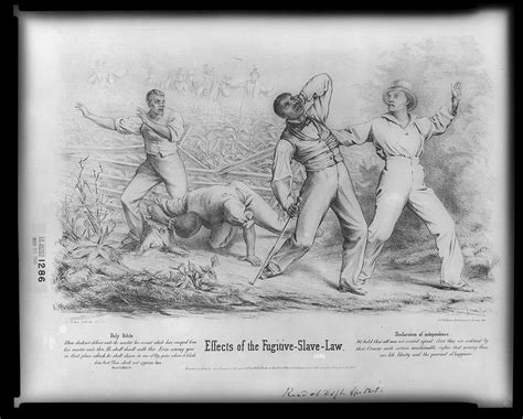 Fugitive Slave Act Of