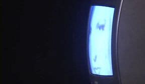 Regininha Poltergeist Porn Videos Free Sex Movies On Got Porn