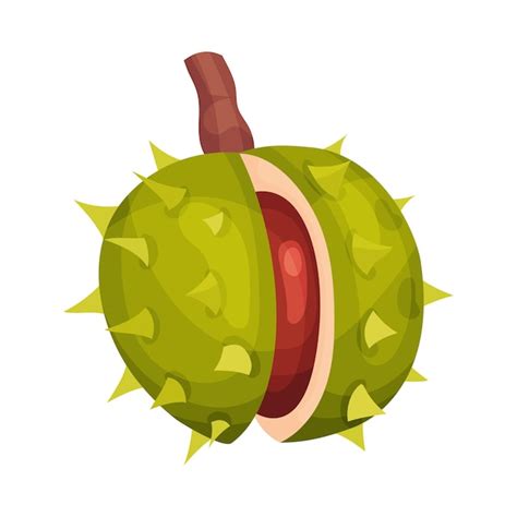 Premium Vector Chestnut With Thorned Shell And Brown Nut Inside
