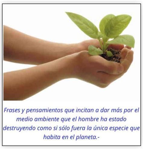 Total Imagen Frases Sobre La Naturaleza Y El Medio Ambiente