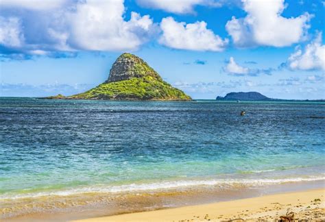 The Best Beaches In Honolulu The Twin Fin Hotel