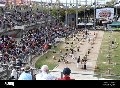 Woodchopping At The Royal Easter Show Hi Res Stock Photography And