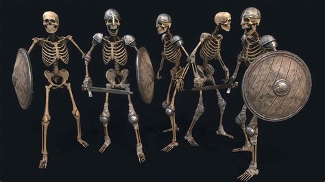 Medieval Skeleton