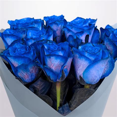 Разнообразие Роз: Удивительный мир цветов