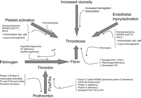 Disorders Of Coagulation Oncohema Key