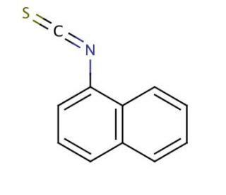 1-Naphthyl isothiocyanate | CAS 551-06-4 | SCBT - Santa Cruz Biotechnology