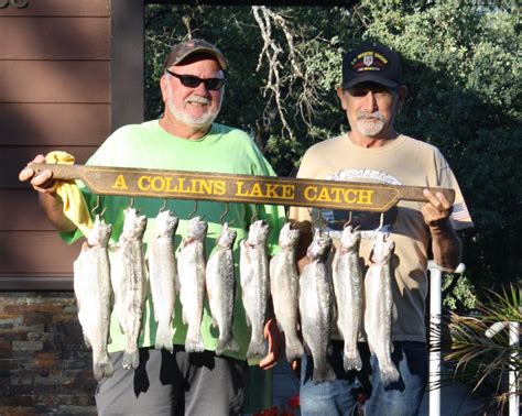 Collins Lake Fish Report Collins Lake Trout Crappie Bluegill