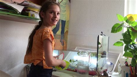 серія про рибок 1 - YouTube