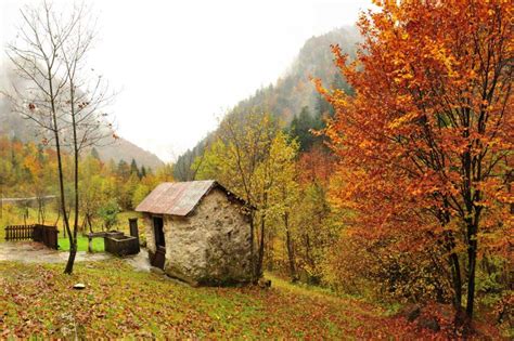 Zoldo Alto Pecol Val Valle Zoldana Dolomiti Belluno Italy