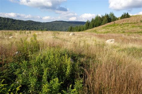 Kostenlose Bild: Hang