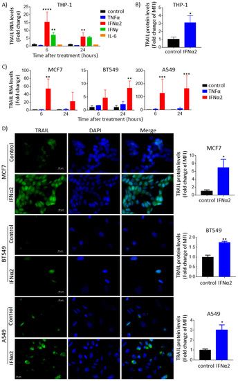 Cancers Free Full Text Enhancer Clusters Drive Type I Interferon