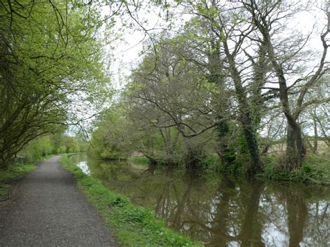 Cycle Route Alongside A Tree Shaded David Smith Geograph