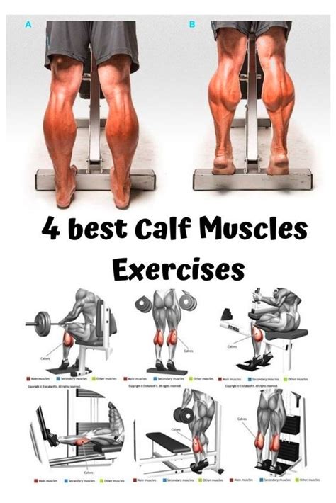 Calf Muscle Exercises