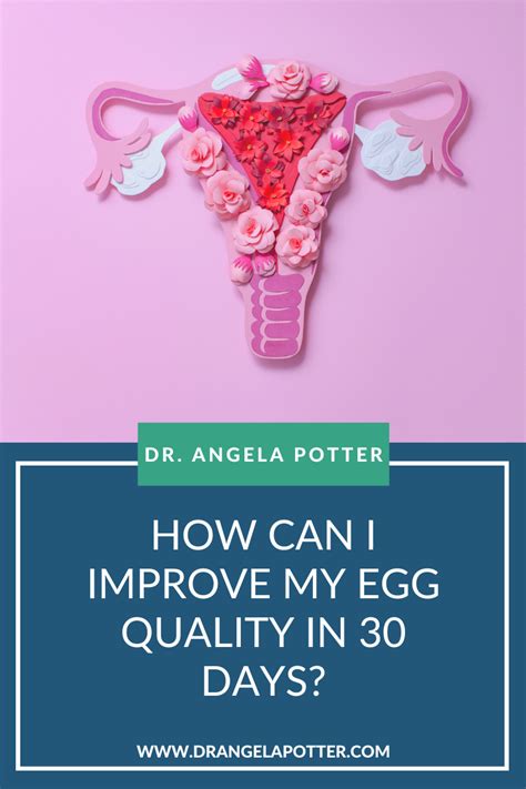 FAQ How Can I Improve My Egg Quality In 30 Days The Facts You Need To