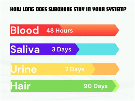 How Long Does Suboxone Stay In Your System Essential Insights