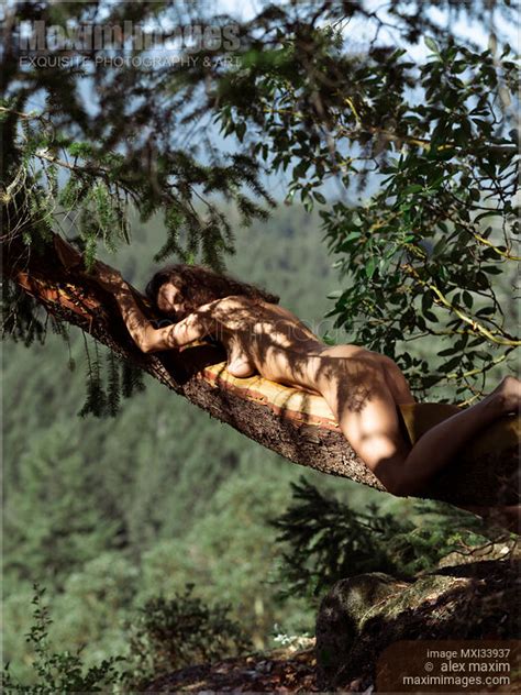 Photo Of Beautiful Nude Woman Lying Naked On Top Of A Tree Branch Over A Cliff In Summer Nature