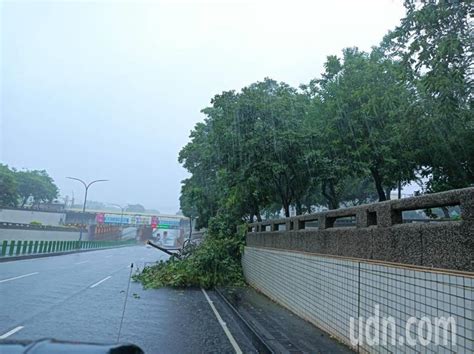 嘉義市午後暴雨 傳路樹倒塌、號誌失靈 雲嘉南 地方 聯合新聞網