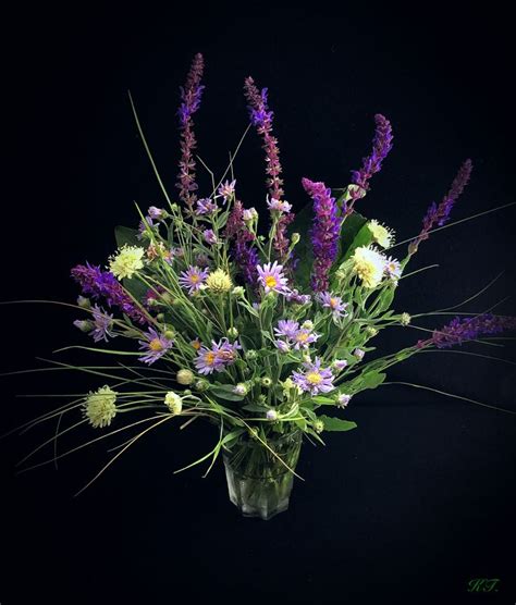 Горные травы и цветы | Plants, Flowers, Garden
