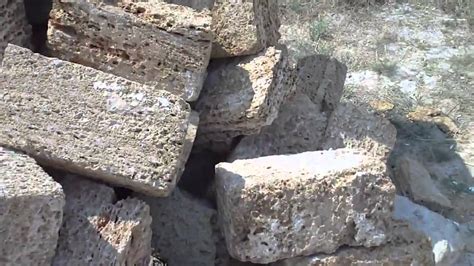 Ракушечник - YouTube