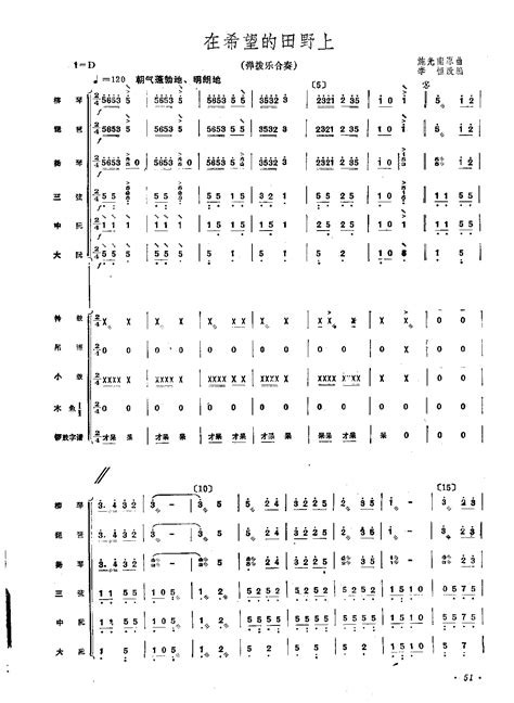 在希望的田野上 弹拨乐合奏 总谱 搜谱网
