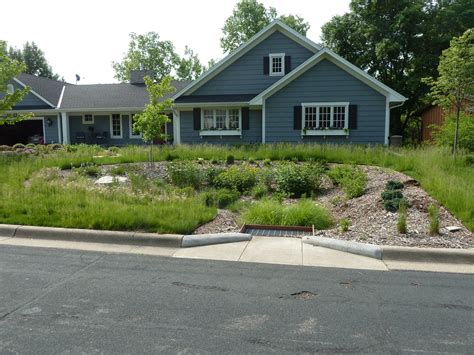 sustainable  transform  front yard   rain garden rain